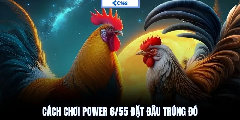 Cách chơi power 6/55 đặt đâu trúng đó