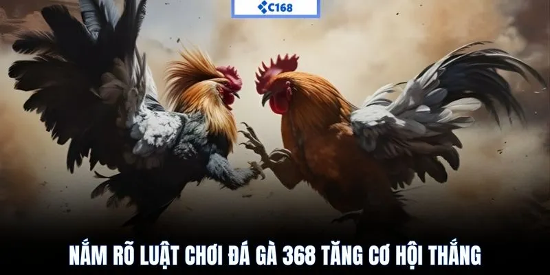 Thoả sức đặt cược đá gà 368 với hàng loạt loại kèo