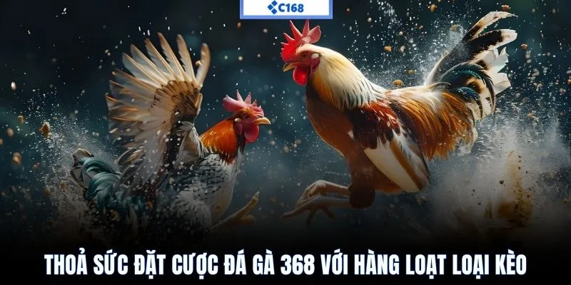 Nắm rõ luật chơi đá gà 368 tăng cơ hội thắng