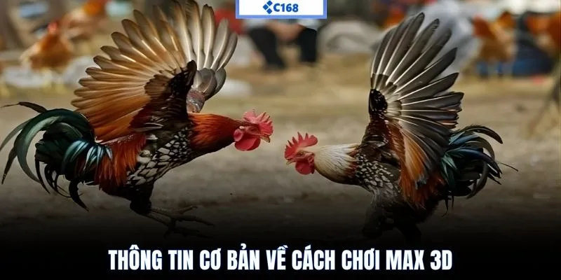 Thông tin cơ bản về cách chơi max 3D
